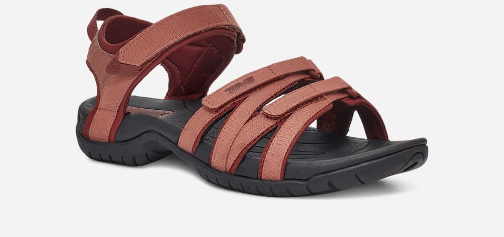 Sandales Randonnée Teva Tirra Femme Bordeaux | France-4091